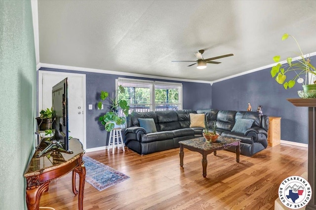2520 County Road 326, W, TX 75706 - living room with ceiling fan, crown molding, wood finished floors, baseboards, and a textured wall