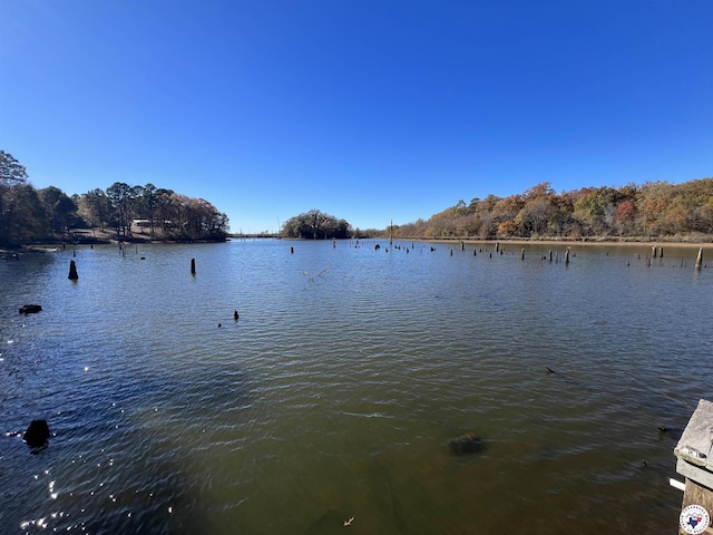 16 Crypress Cv, Lewisville, AR 71845 - photo 5