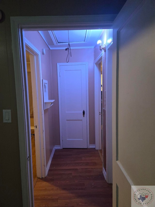 hallway with dark wood-type flooring