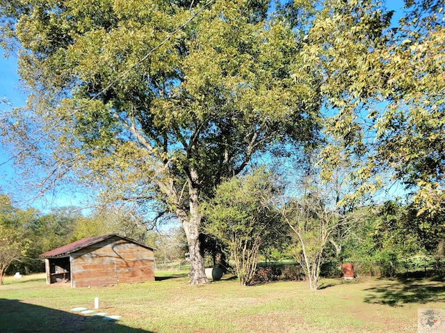 view of yard featuring a storage unit