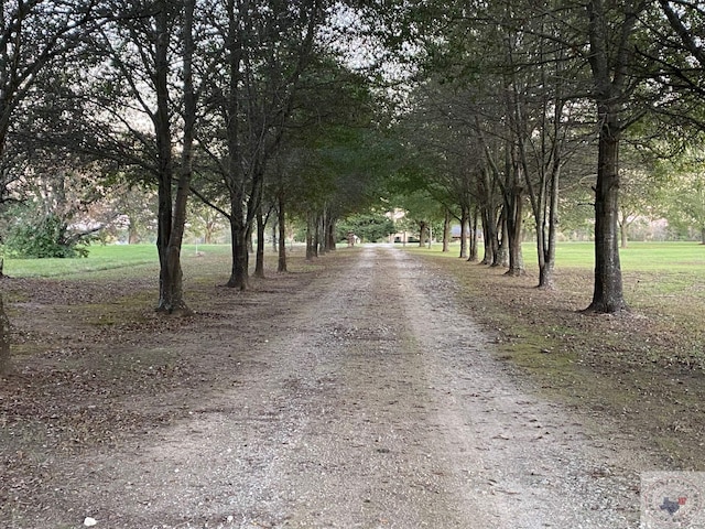 view of road