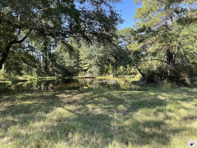 821 Tri State Rd, Texarkana, TX 75501 - photo 4