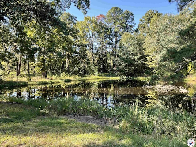 821 Tri State Rd, Texarkana, TX 75501 - photo 5