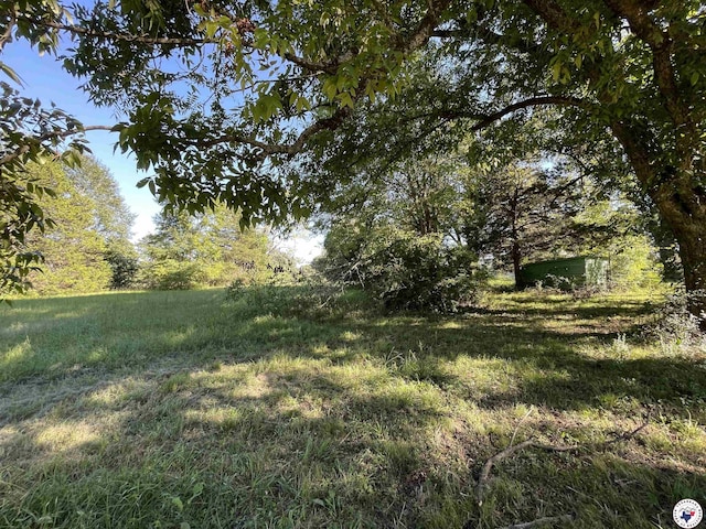 821 Tri State Rd, Texarkana, TX 75501 - photo 7