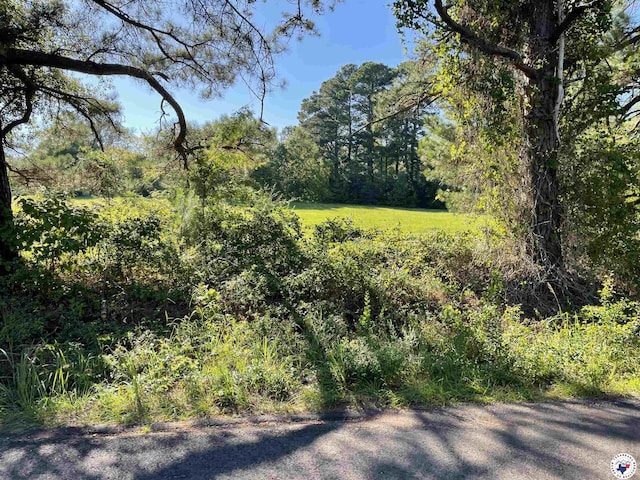 821 Tri State Rd, Texarkana, TX 75501 - photo 1