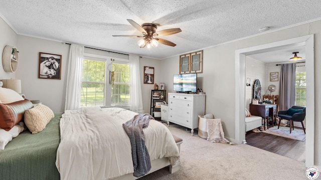 9216 W 7th St, Redwater, TX 75501 - bedroom with multiple windows, ornamental molding, carpet floors, ceiling fan, and a textured ceiling
