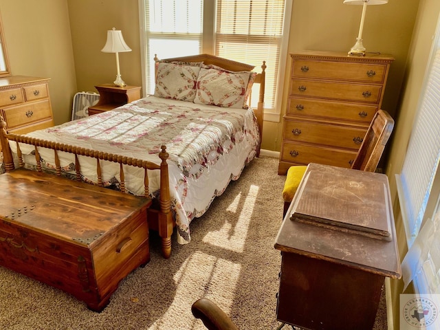 bedroom featuring carpet floors and multiple windows