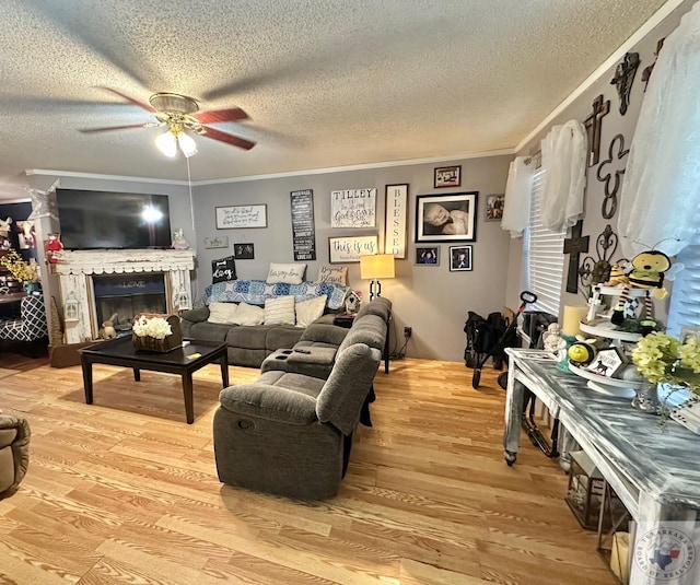 living area with a textured ceiling, a fireplace, a ceiling fan, light wood-type flooring, and crown molding