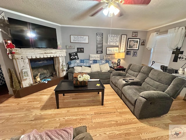 living area featuring a textured ceiling, ornamental molding, and wood finished floors