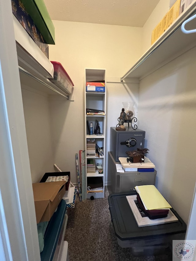 walk in closet featuring carpet floors