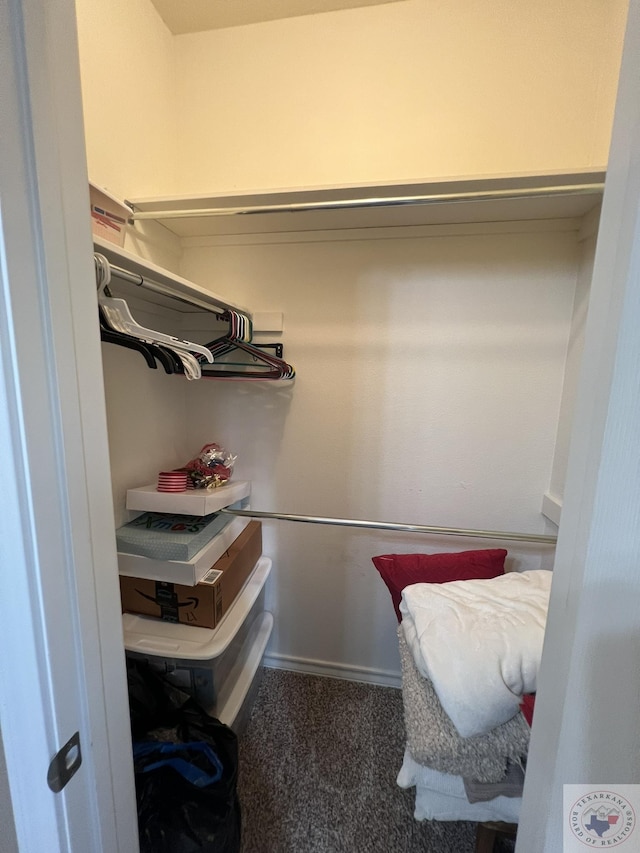 spacious closet featuring carpet flooring