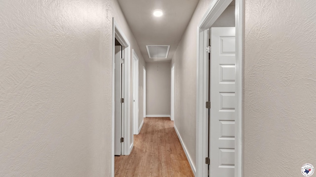 1911 Vanderbilt Rd, Texarkana, AR 71854 - corridor featuring attic access, light wood-style flooring, and a textured wall