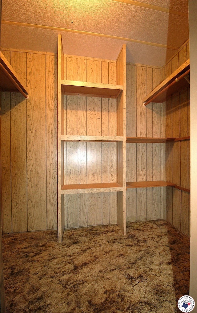 334 Pine Valley Rd, Texarkana, TX 75501 - spacious closet with carpet floors