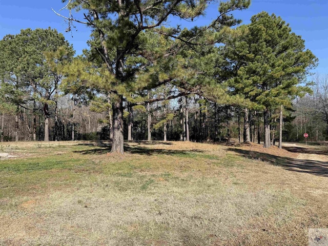 10743 Fm 561, Dekalb TX, 75559 land for sale