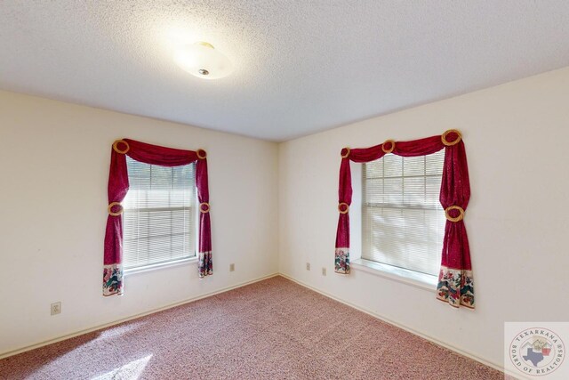 carpeted spare room featuring a textured ceiling