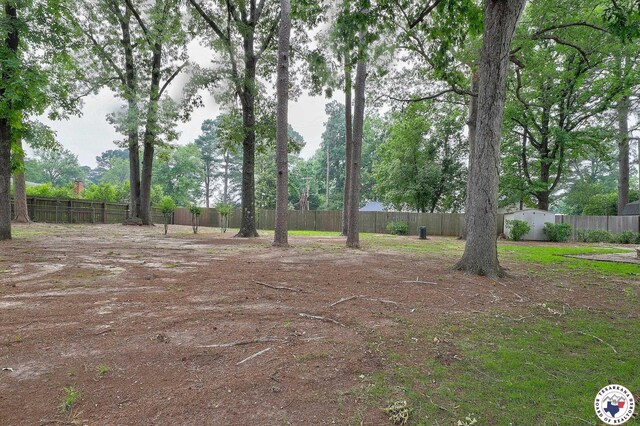 4101 Columbia Ave, Texarkana, TX 75503 - view of yard featuring fence
