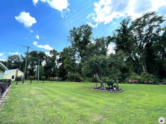 827 Fm 3384, Pittsburg, TX 75686 - photo 6
