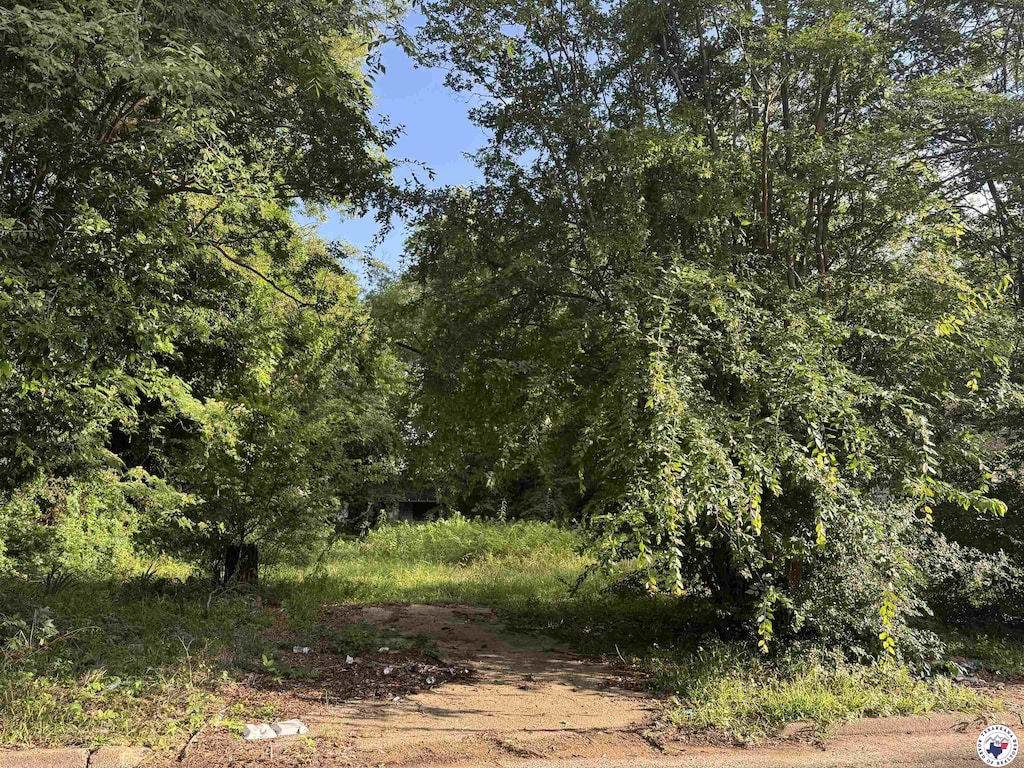 2107 W 17th, Texarkana, TX 75501 - photo 1