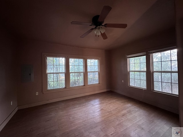 spare room with ceiling fan, electric panel, and light wood-type flooring