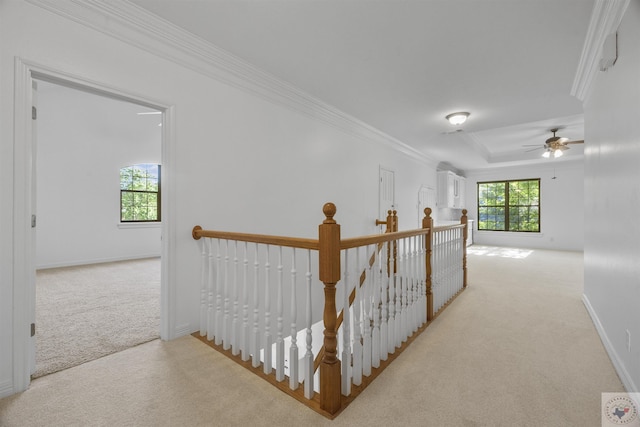 corridor featuring a wealth of natural light, ornamental molding, and light carpet