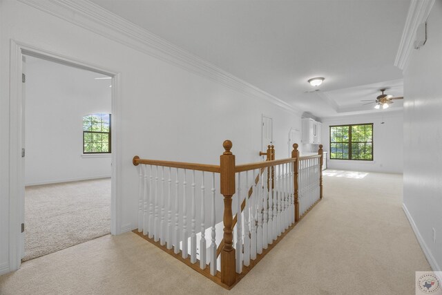 hall featuring a tray ceiling, light carpet, crown molding, and baseboards