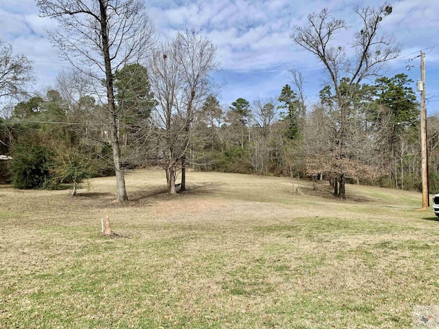 809 N Louise St, Atlanta, TX 75551 - view of yard