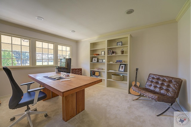 office space with ornamental molding and light colored carpet