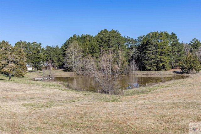 view of water feature