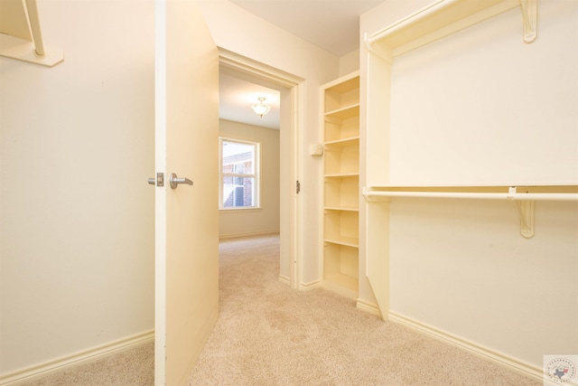 spacious closet featuring carpet