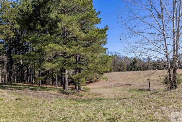 view of nature featuring a view of trees