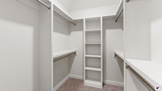 206 Spencer St, Maud, TX 75567 - spacious closet featuring carpet flooring