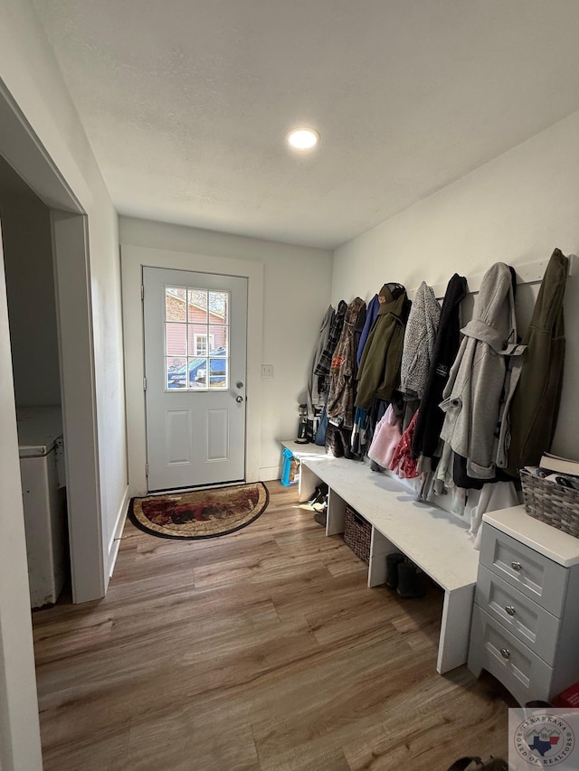 mudroom featuring wood finished floors