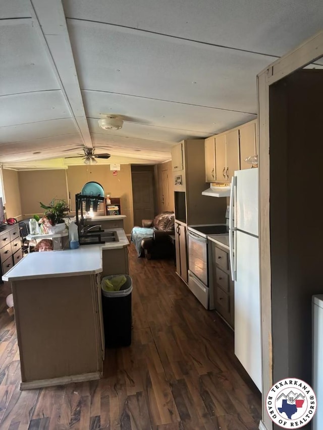 10720W.7TH Trexler Rd, Texarkana, TX 75501 - kitchen with white appliances, under cabinet range hood, dark wood-type flooring, light countertops, and lofted ceiling