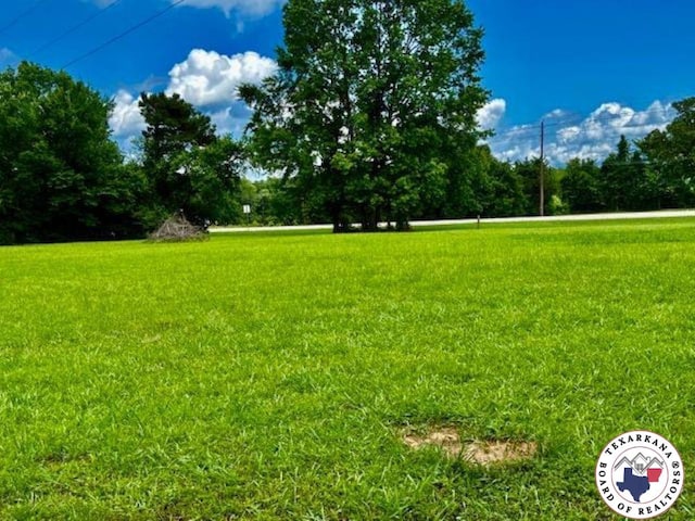 10720W.7TH Trexler Rd, Texarkana, TX 75501 - view of yard