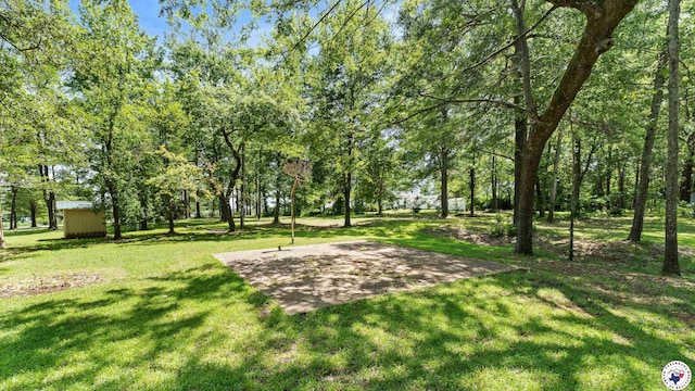 1135 Cook Rd, Texarkana, AR 71854 - view of home's community featuring a yard