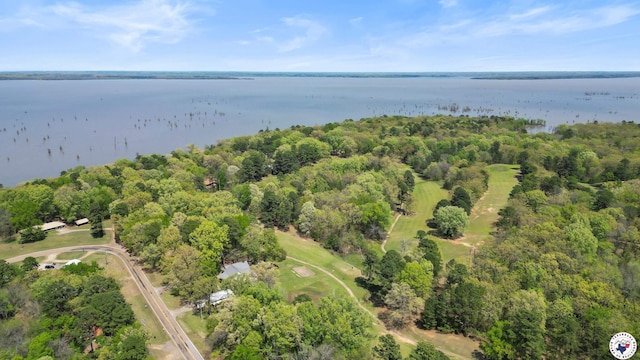 111 Old Millwood Rd, Ashdown, AR 71822 - photo 26