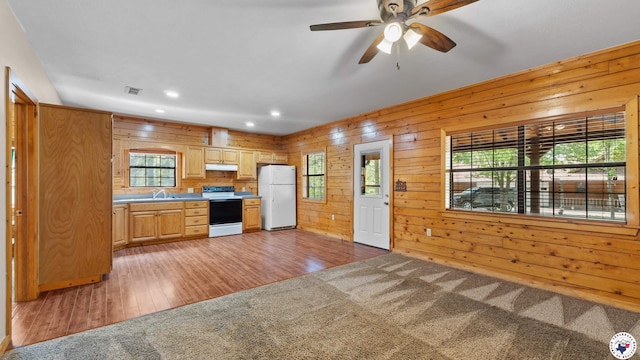 111 Old Millwood Rd, Ashdown, AR 71822 - photo 11