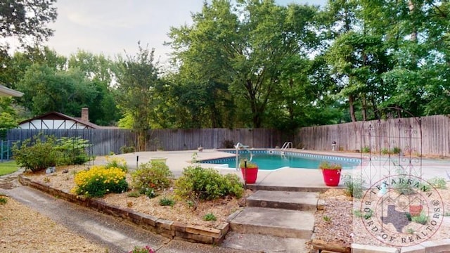 view of pool with a diving board and a patio area