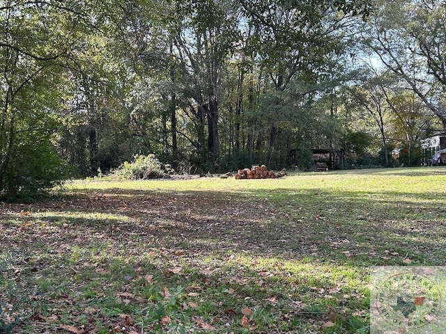 TBD N Boggie, Atlanta TX, 75551 land for sale