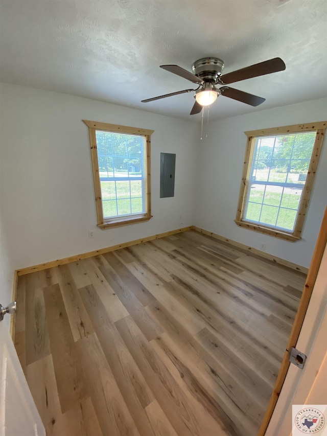 unfurnished room with light hardwood / wood-style flooring, electric panel, and a textured ceiling