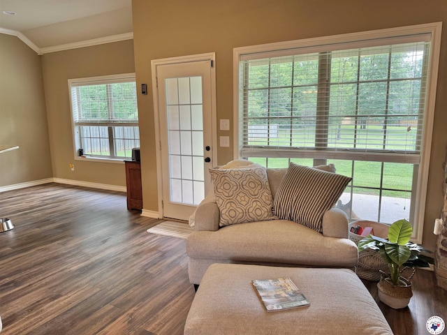 22 Heritage Blvd, Texarkana, TX 75501 - living room with ornamental molding and dark wood-style flooring