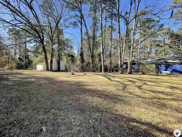 view of yard featuring a storage unit and an outbuilding