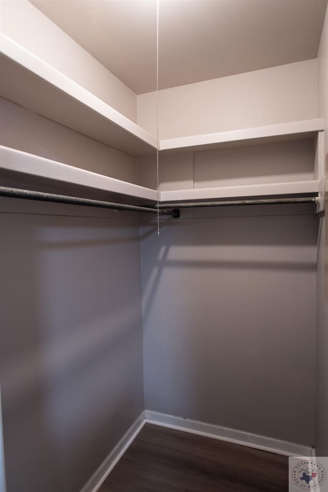 walk in closet featuring dark wood-type flooring