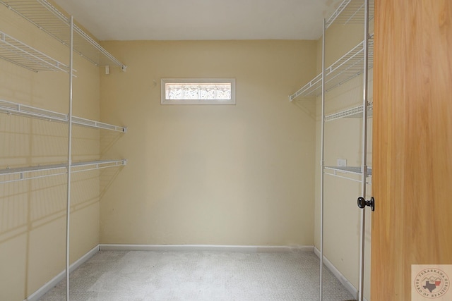 spacious closet with carpet flooring