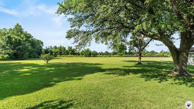 1210 Old Boston Rd, Texarkana, TX 75501 - photo 4