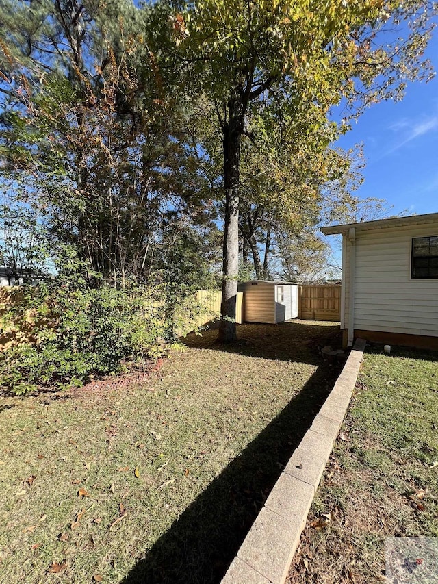 view of yard featuring a storage shed