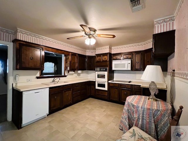 kitchen featuring ceiling fan, sink, white appliances, ornamental molding, and dark brown cabinetry