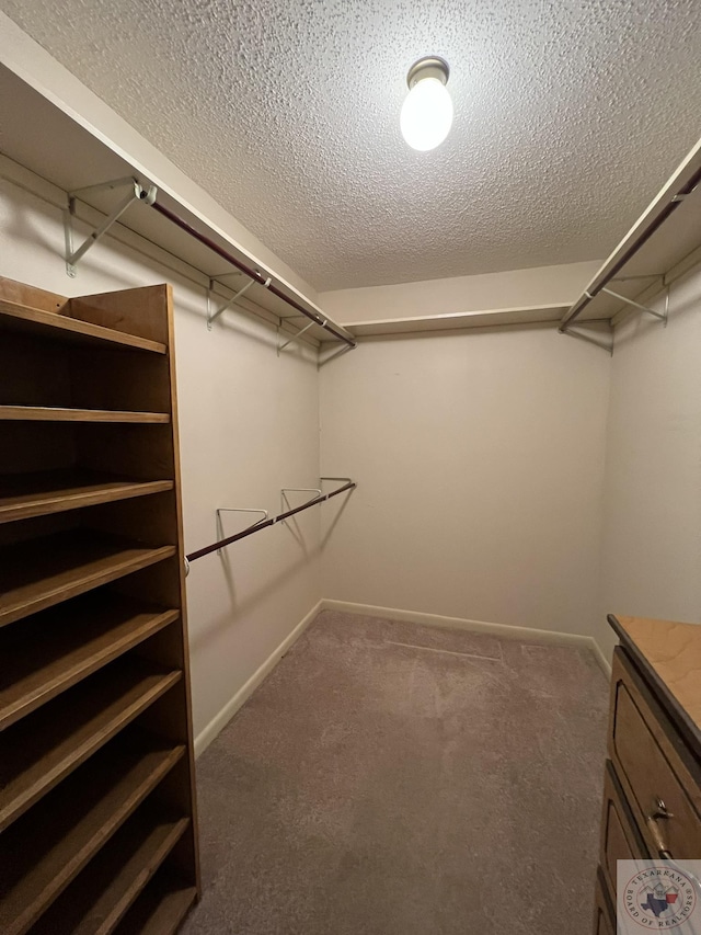 walk in closet featuring dark colored carpet