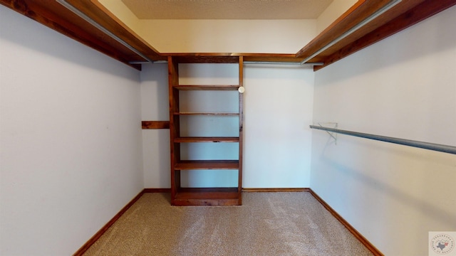 spacious closet with light carpet