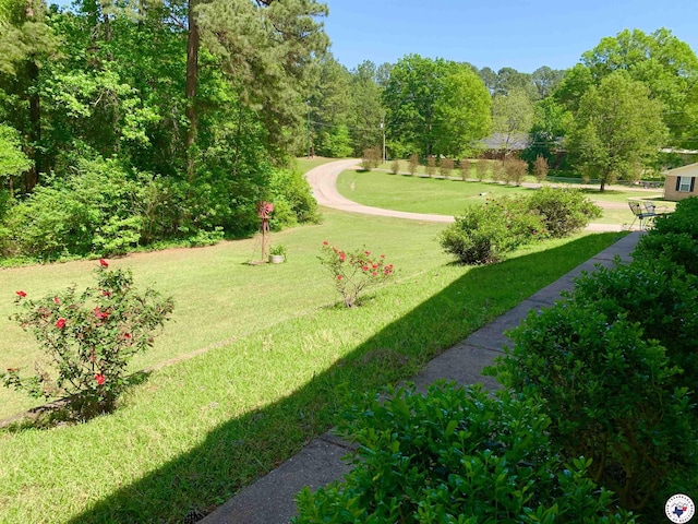 1306 Choctaw Dr, Atlanta, TX 75551 - photo 28